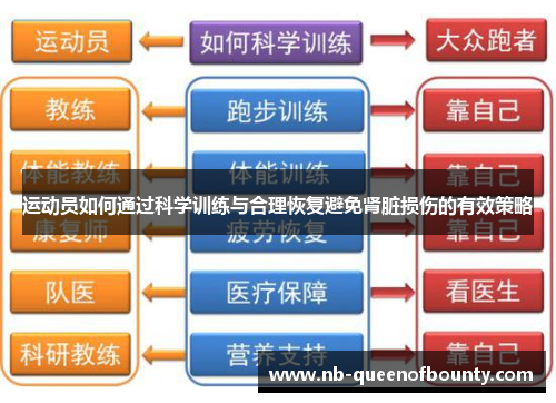 运动员如何通过科学训练与合理恢复避免肾脏损伤的有效策略