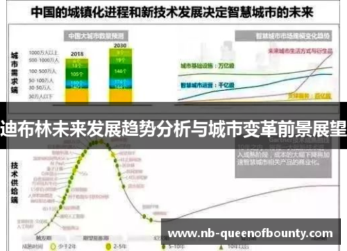 迪布林未来发展趋势分析与城市变革前景展望